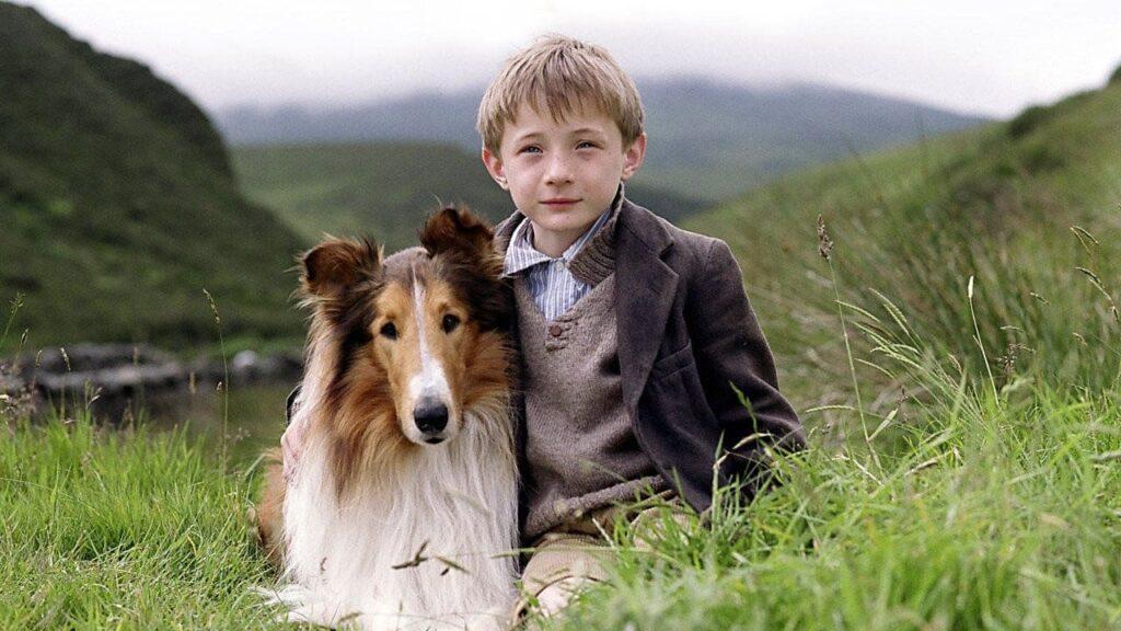 Лэсси (2005)