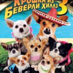 Крошка Из Беверли-Хиллз 3 Постер